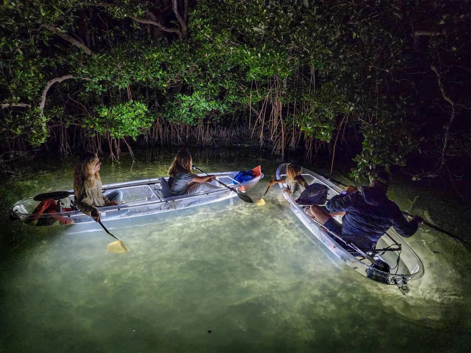 AMI Mangrove Kayak Tours